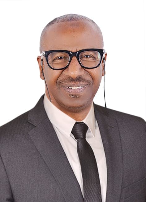 Hamdy Ashour Mohamed